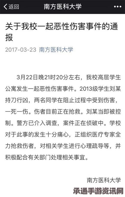 加拿大高中校园伤人案，女学生持刀刺伤8人，事件分析与应对技巧探讨