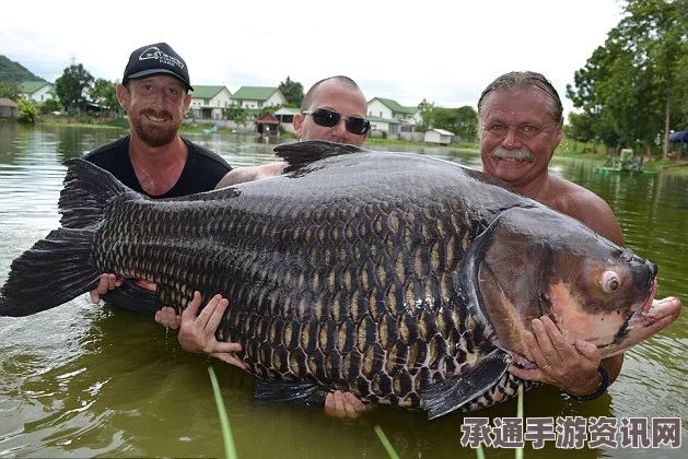 泰国天然湖泊盛产巨型鲤鱼，垂钓技巧与独特生态（组图）