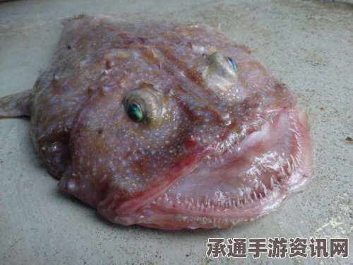 澳大利亚深海发现独特生物，卡通般外形与凸出眼睛揭秘