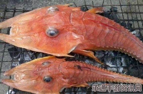 澳大利亚深海发现奇特生物，眼睛凸出的卡通外形