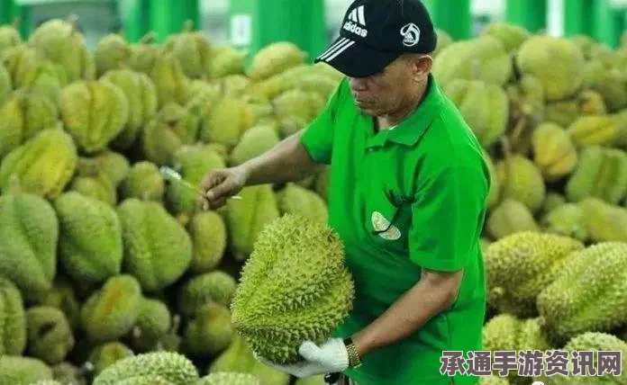 越南跃升全球第8大武器进口国，背后的策略与趋势分析
