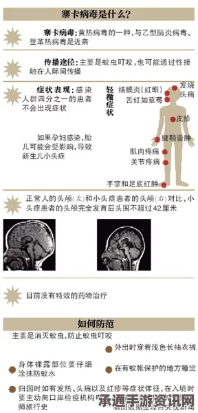 寨卡病毒与小头症关联研究，美巴科学家联合探索及技巧方法探讨