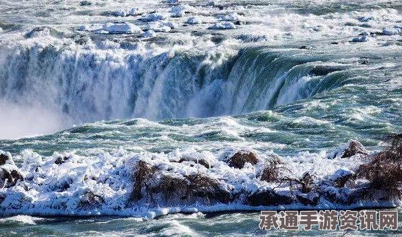 美国IPO市场遭遇寒流，新上市公司数量锐减，行业应对策略及展望