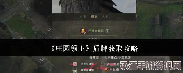 庄园领主纹章自定义攻略，方法与技巧详解