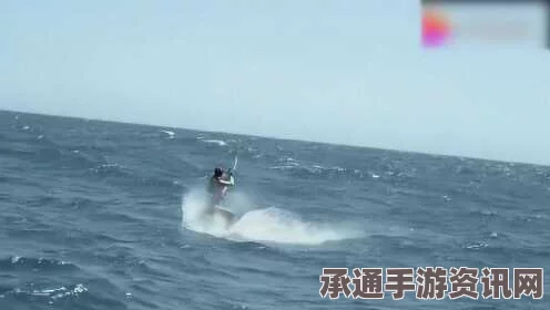 南非冲浪女子遭遇惊魂瞬间，鲨鱼尾随引发关注（图）