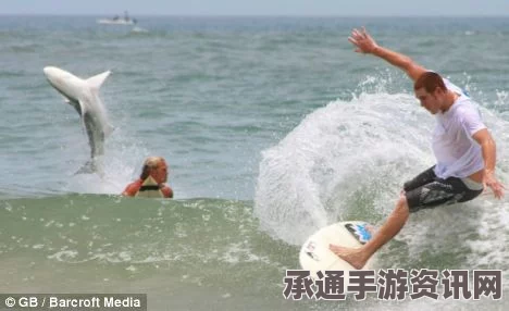南非冲浪女子遭遇惊魂瞬间，鲨鱼尾随引发关注（图）