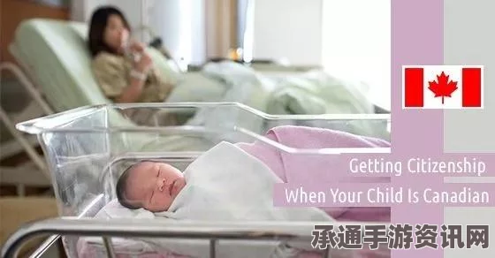 成都小留学生持刀行为引关注，教育引导与应对策略探讨