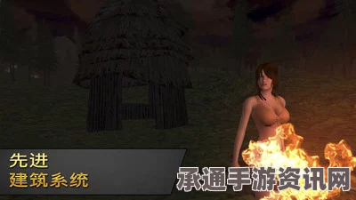 荒岛求生，日本女子的生存技巧与勇气展现