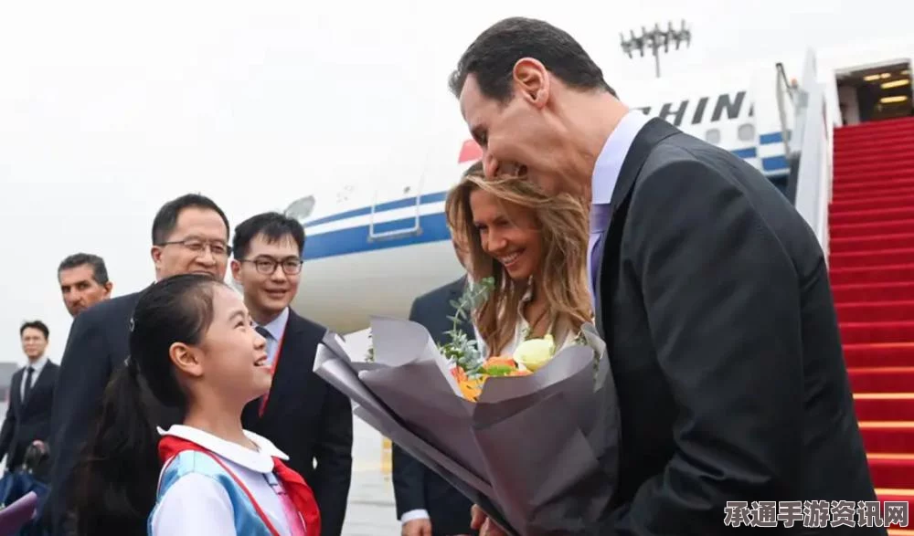 俄常驻联合国代表深度解读，叙危机不会引发世界大战——应对策略解析
