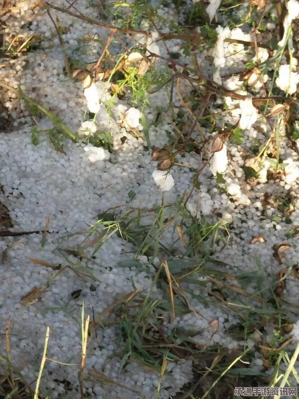 揭秘黑雨现象，城镇遭遇的背后真相与应对之策（附图）