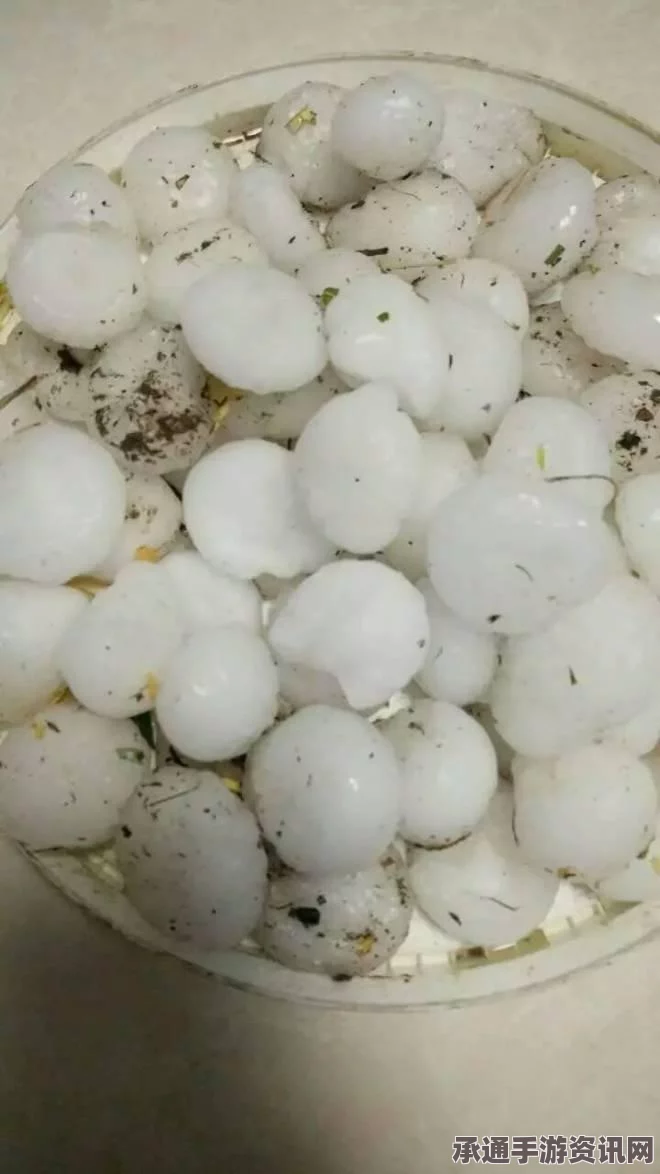 美一城镇突降黑雨，现象背后的真相及应对技巧（图）