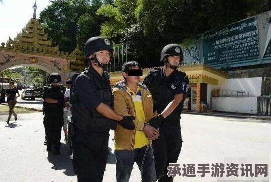 越南史上最大毒品案女嫌犯逃脱死刑背后的自我授精怀孕事件，揭示技巧与方法
