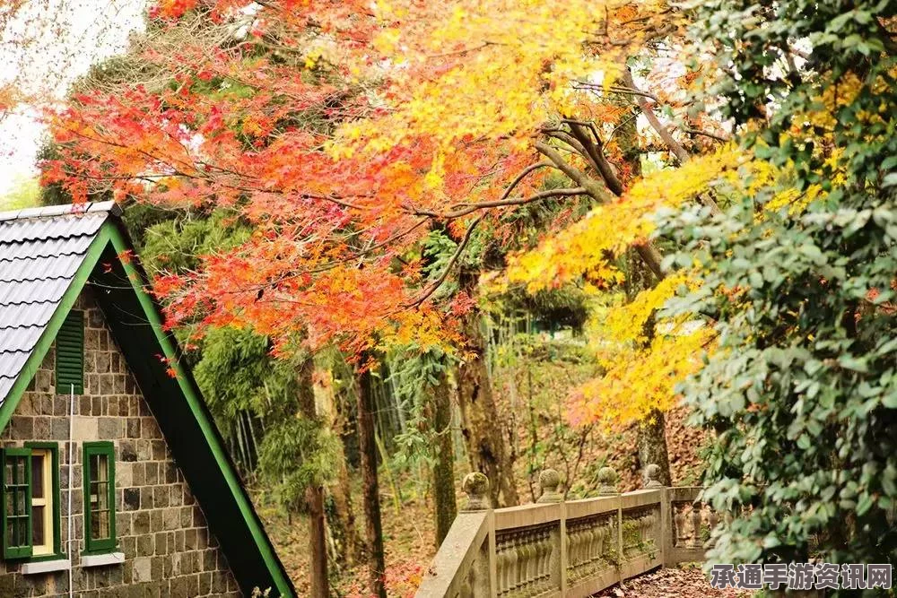 奇迹暖暖小屋升级全攻略，方法与钻石需求详解