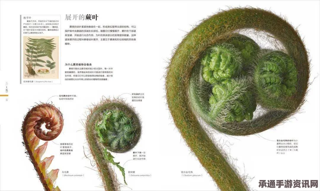 揭秘重现的史前植物，金色绒毛花瓣揭秘与探寻技巧方法（附图）