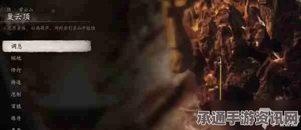 黑神话悟空，泡酒物清虚道果获取攻略及技巧方法详解