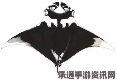 墨西哥海底发现罕见蝠鲼，神秘黑白花纹酷似人类头骨（图文详解）