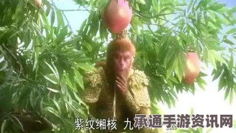 黑神话悟空紫纹缃核获取攻略与技巧解析，悟空泡酒物攻略揭秘