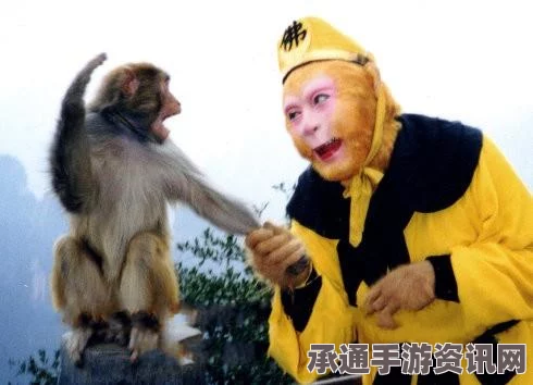 阴阳师20章平民阵容推荐，高效过图，赌上性命的仪式攻略