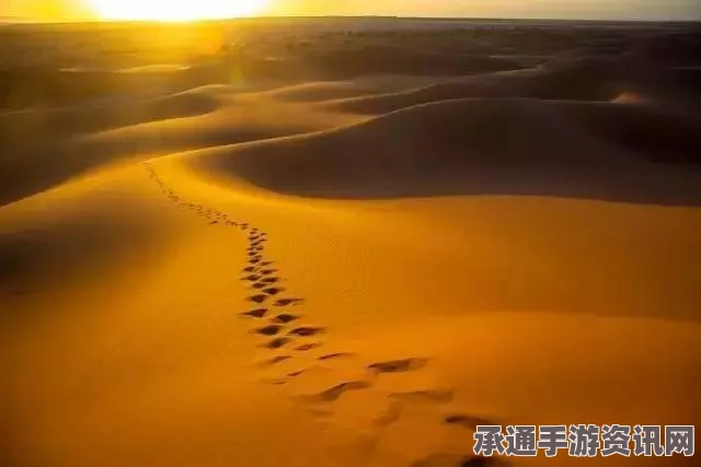 美国老人沙漠求生记，一周生存技巧与坚韧毅力