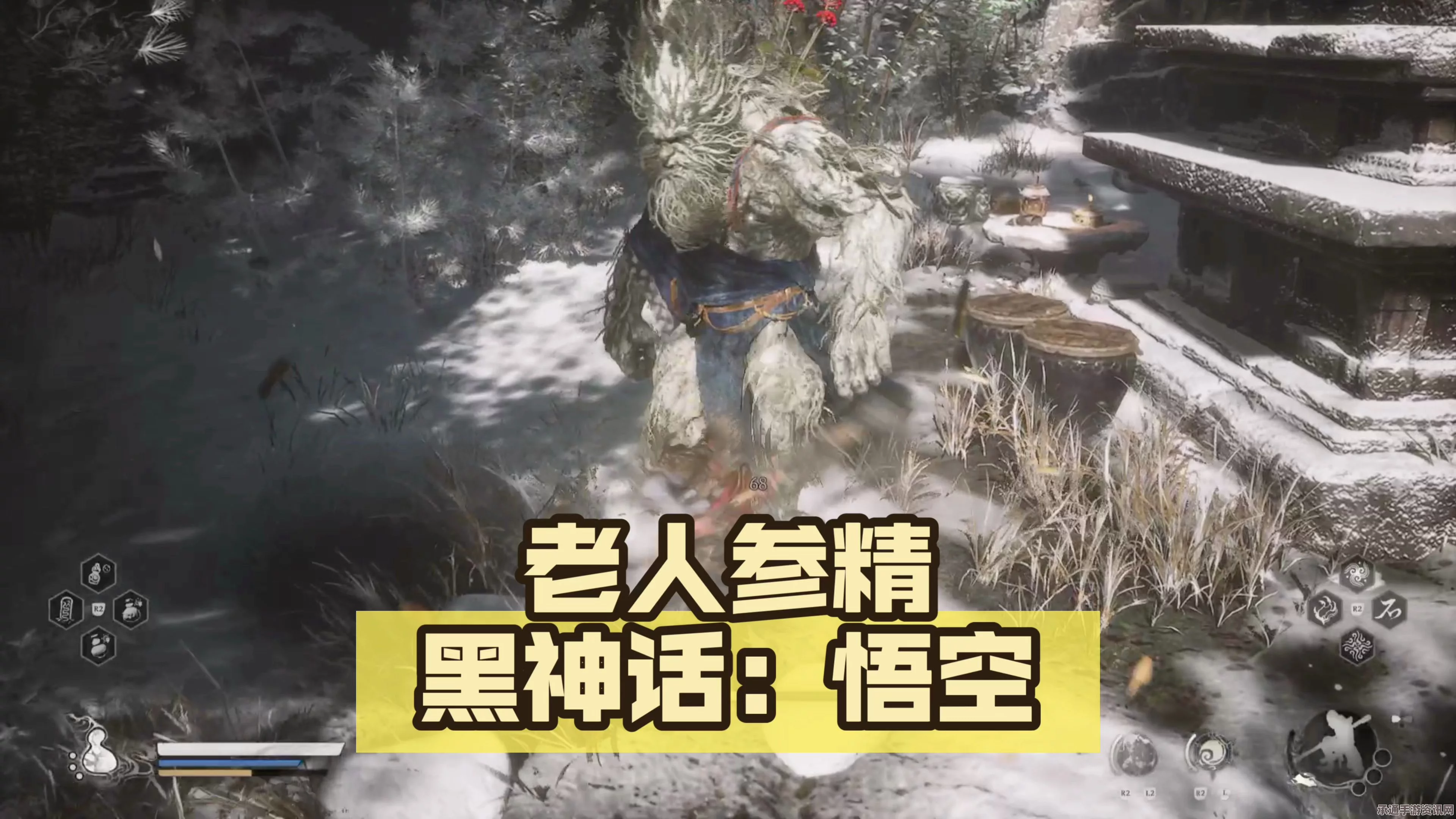 黑神话，悟空老人参精具体位置详解及攻略技巧