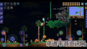 光遇4.28复刻先祖位置攻略，揭秘整蛊先祖再现地点与攻略技巧