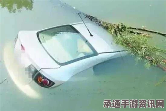 瑞典重大汽车大桥坠落事故现场揭秘，五个生命消逝的悲痛瞬间（组图）