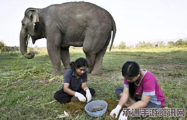泰国超越猫屎咖啡的珍稀佳品，屎咖啡探秘（附图解）