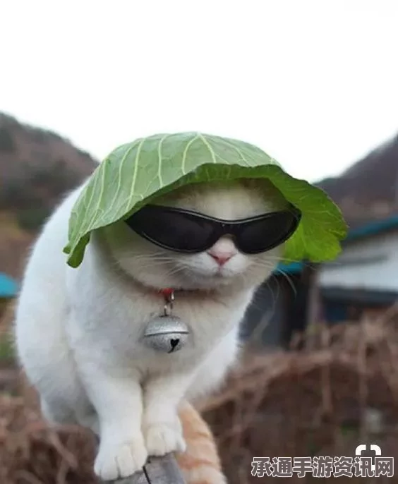 愤怒猫Albert再度亮相，头套外星猫风采与技巧方法解析（高清组图）