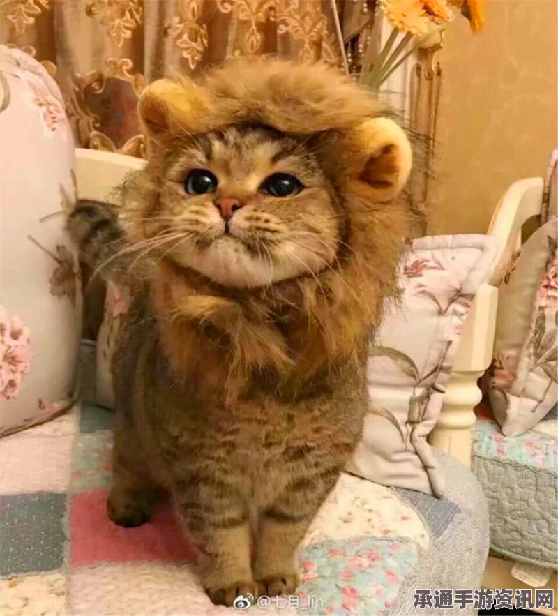 愤怒猫Albert再度亮相，头套外星猫风采与技巧方法解析（高清组图）