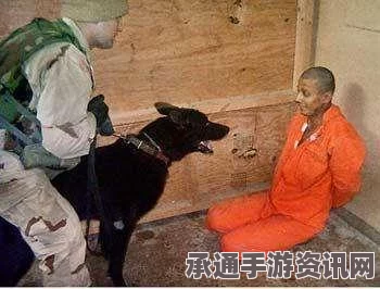 美军虐囚照片公开，揭示真相的技巧与方法的探讨