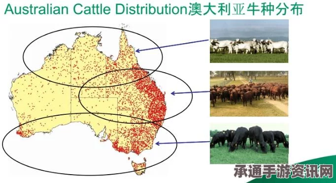 牛犊身上的奇迹，澳大利亚地图纹路显现，称之爱国牛—揭秘背后的技巧与方法