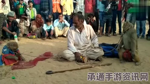 印度猴子捣蛋行为引发关注，被关笼游街示众—事件解读与应对技巧探讨