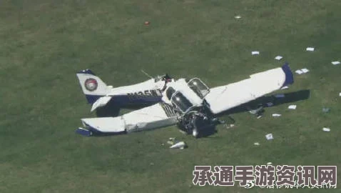 两架小型飞机在洛杉矶相撞，事故现场与应对技巧方法