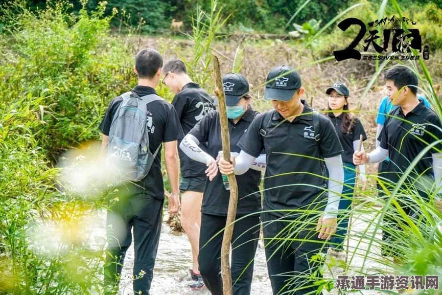 王者荣耀开黑套路详解，玩转多人协作的技巧与方法