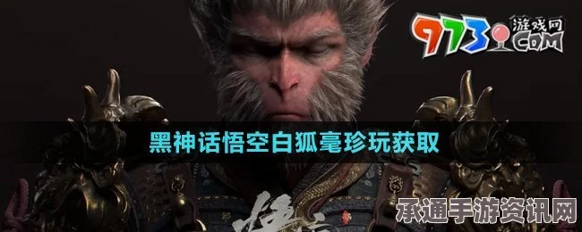 黑神话悟空珍玩全攻略，获取技巧与方法详解