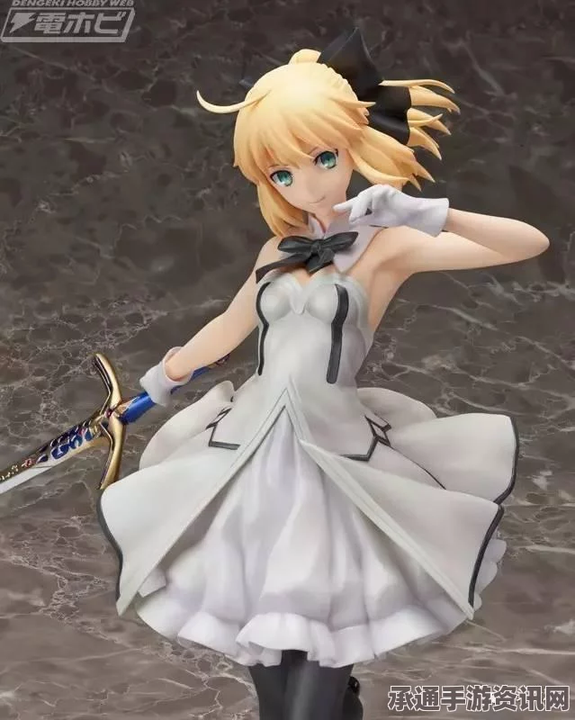 Fate Grand Order，开启宝具2语音详解与实用技巧大揭秘