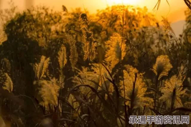 浩渺星云奇迹暖暖，全方位搭配指南与攻略大全