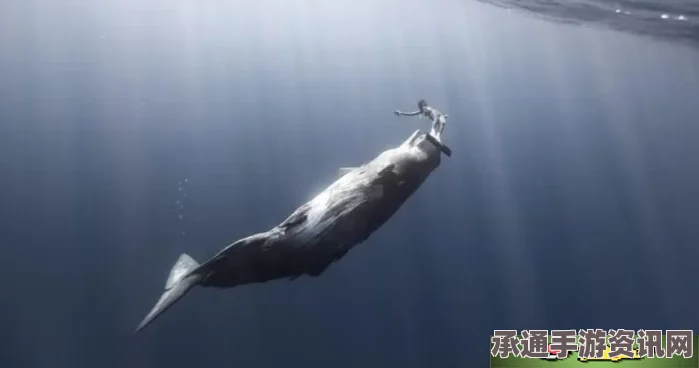 原神鲸腹中的三日夜成就攻略，技巧方法与全面解析