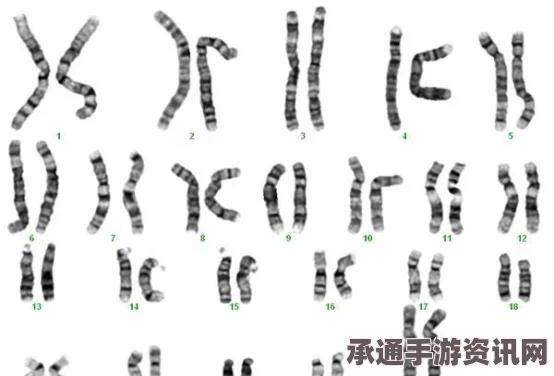 科学家警告，Y染色体基因脱落，未来500万年后可能不再有男婴出生—探索应对方法与技巧