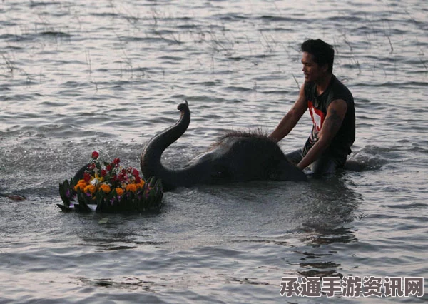 泰国民众河边捕鱼意外捞起六条大蟒蛇，揭秘捕捉技巧与应对方法（图）