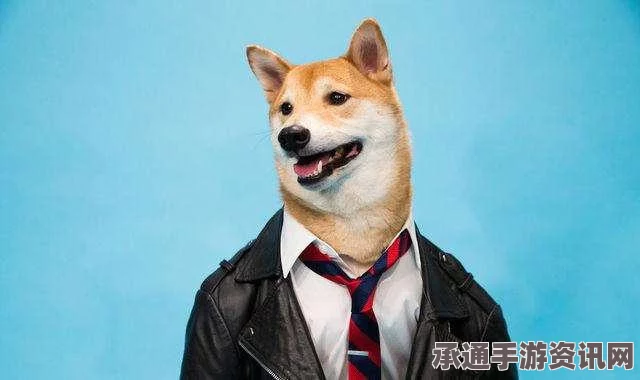 王者荣耀S7赛季战队赛结束头像与皮肤未到账问题解析及技巧方法探讨