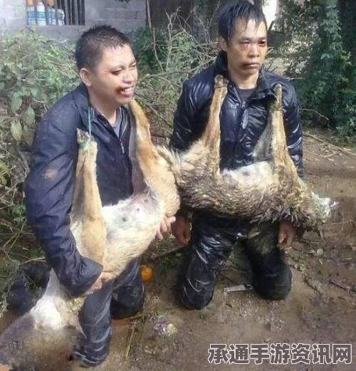 肯尼亚男子因偷窃母鸡遭村民围捕，事件分析与应对技巧探讨
