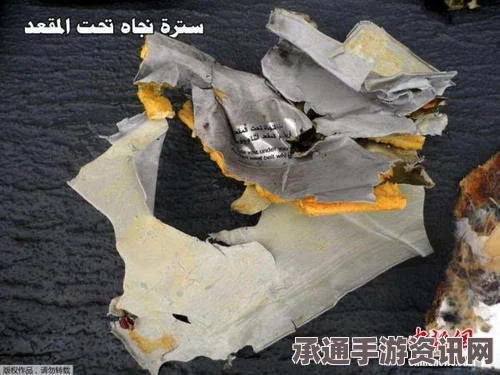 索马里客机坠毁事故，应对灾难的技巧方法