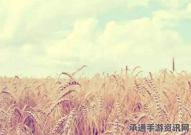 恶意不息青蒿购买攻略，位置详解与技巧方法分享