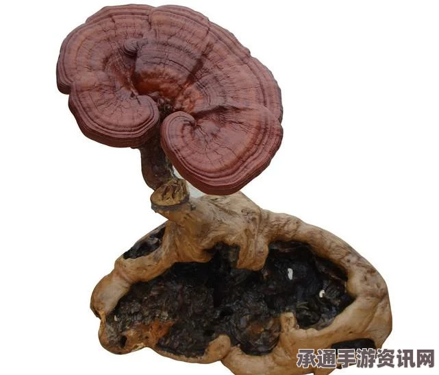 黑神话悟空，泡酒物全收集攻略与技巧详解指南