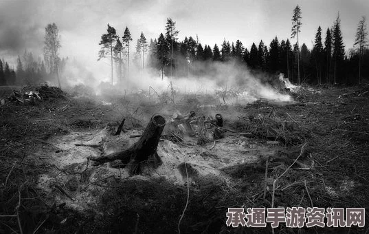 澳大利亚塔斯马尼亚野火肆虐，远古森林保护区遭殃，野火应对技巧与方法探讨