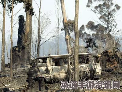 澳大利亚塔斯马尼亚野火肆虐，远古森林保护区遭殃—应对野火的技巧与方法