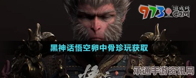 黑神话悟空，悟空珍玩卵中骨获取攻略与技巧详解指南