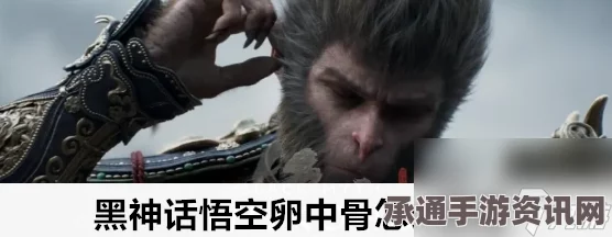 黑神话悟空珍玩卵中骨获取攻略及技巧方法详解