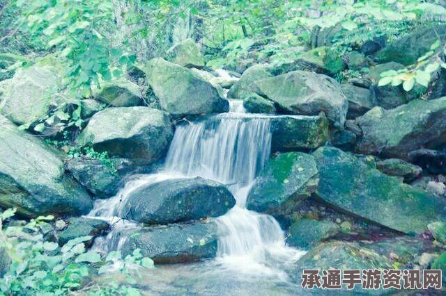 黑神话悟空青山骨获取攻略，技巧与方法详解